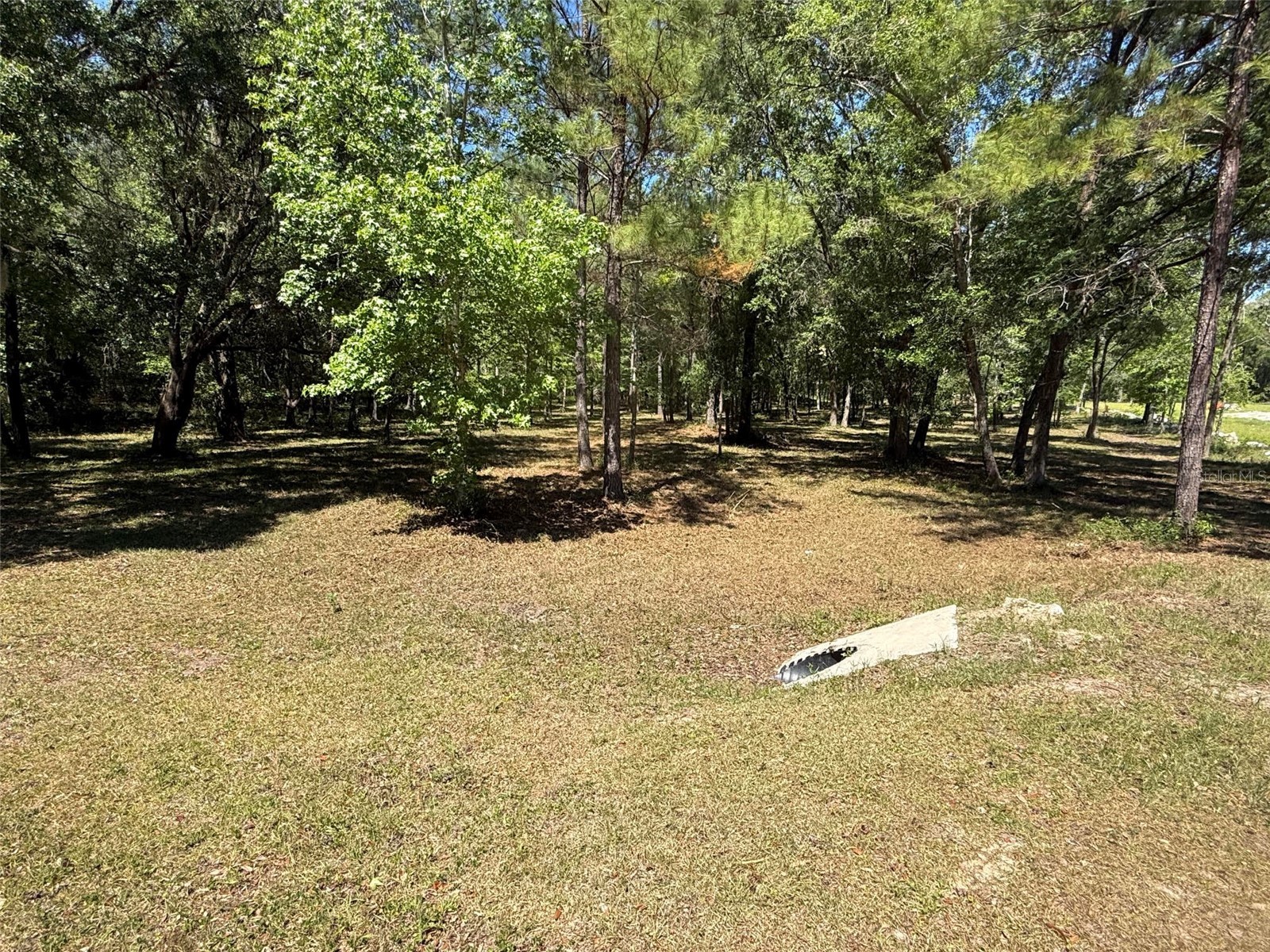 0 NW 145 Avenue Williston FL 32696 OM724103 image7