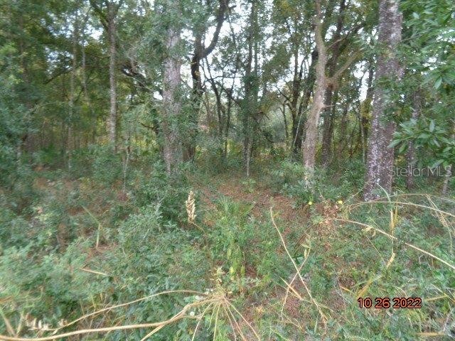 0 NW 14th Street Ocala FL 34482 OM648311 image1