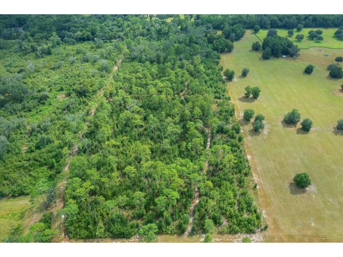 0 NW 150th Avenue Ocala FL 34482 OM711090 image22