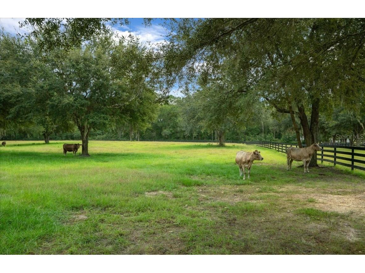 0 NW 150th Avenue Ocala FL 34482 OM711090 image44