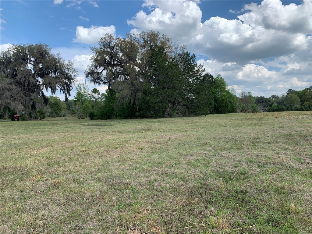 0 NW 154 Avenue Morriston FL 32668 OM617066 image1