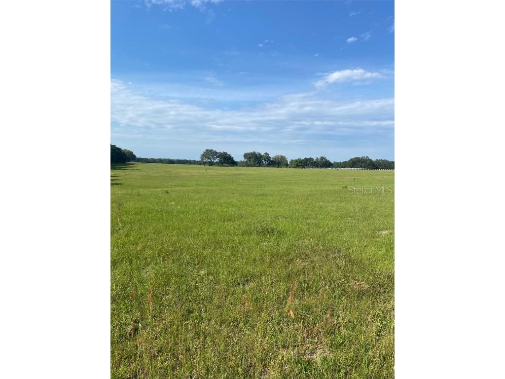 0 NW 163 Terrace Morriston FL 32668 OM689055 image1