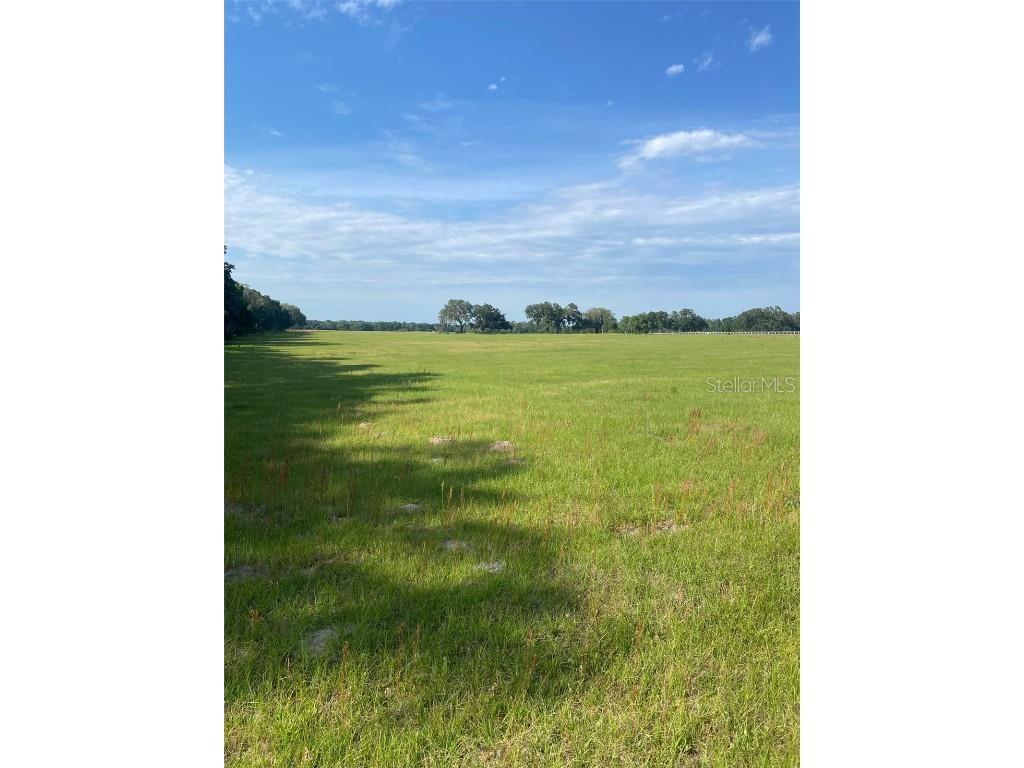 0 NW 163 Terrace Morriston FL 32668 OM689071 image1