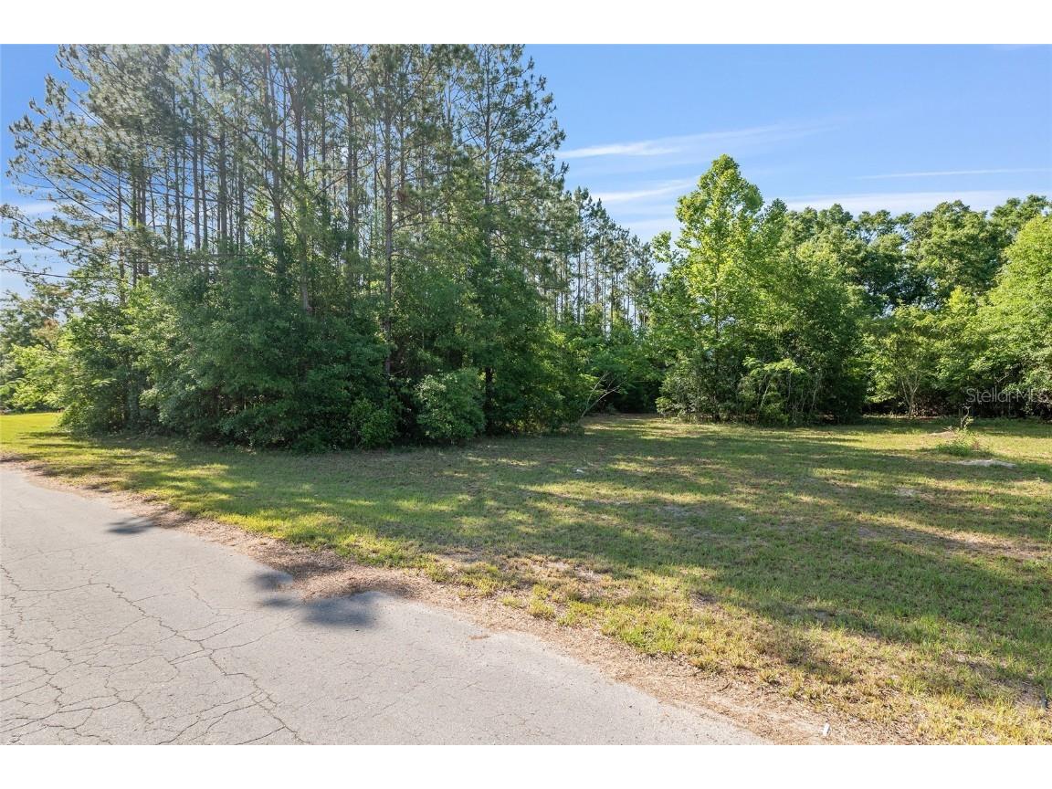 0 NW 173rd Street Trenton FL 32693 GC527819 image1