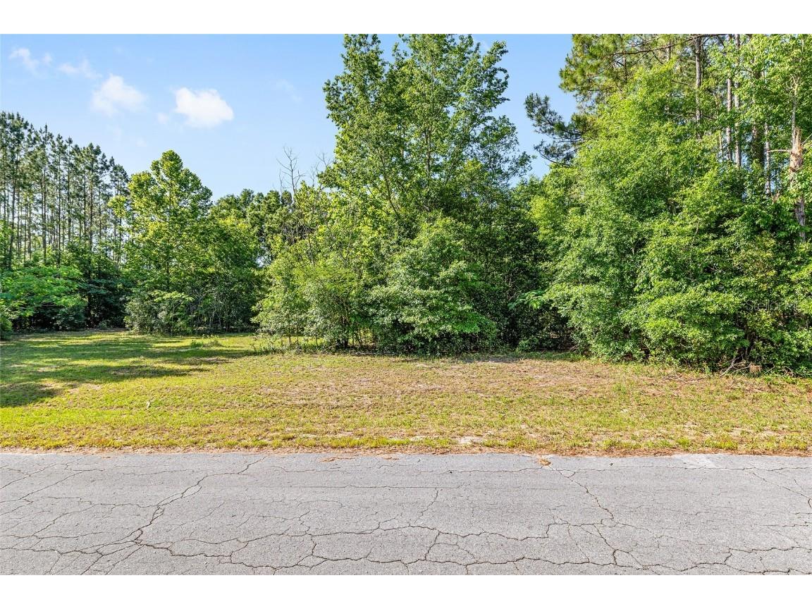 0 NW 173rd Street Trenton FL 32693 GC527821 image1