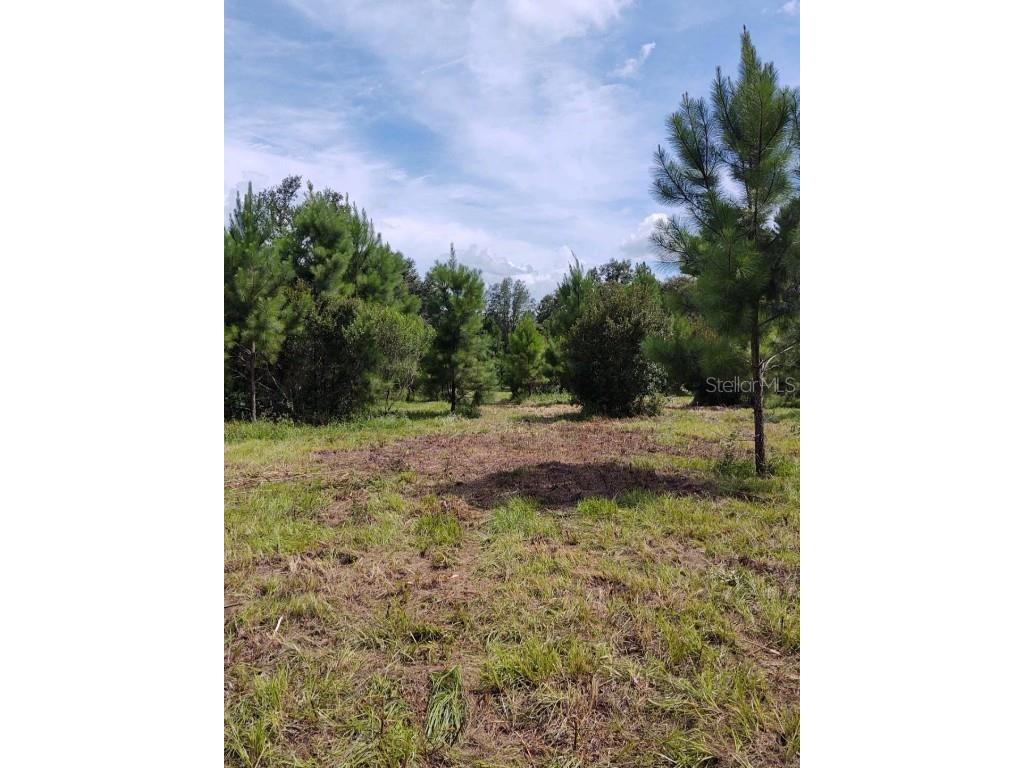 0 NW 185th Street Williston FL 32696 T3389588 image1