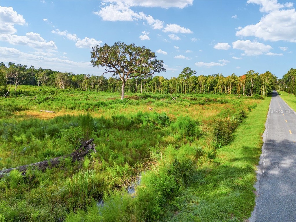 0 NW 193rd St Micanopy FL 32667 OM663869 image1