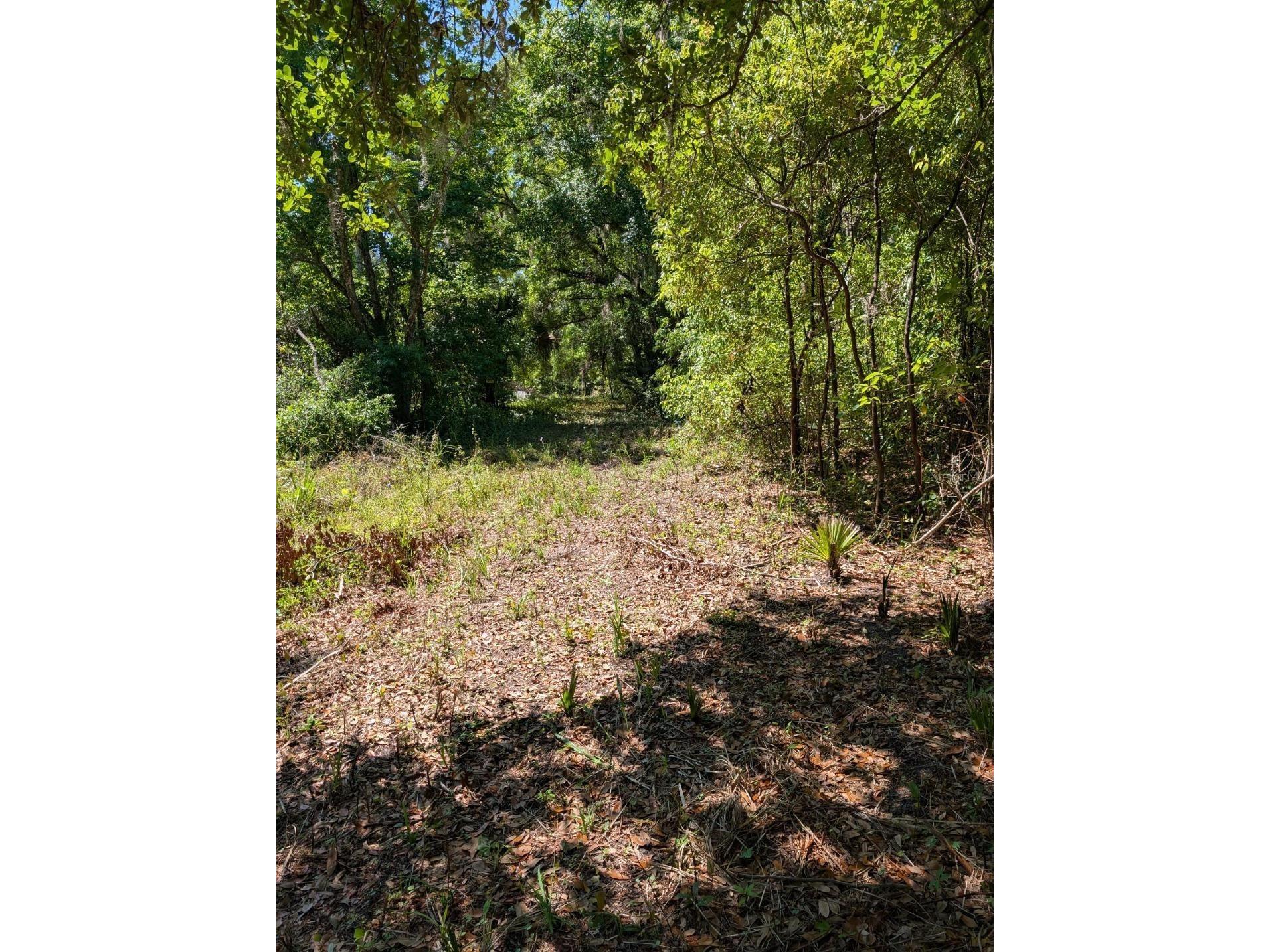 0 NW 202nd Pl Mc Intosh FL 32664 OM724265 image1