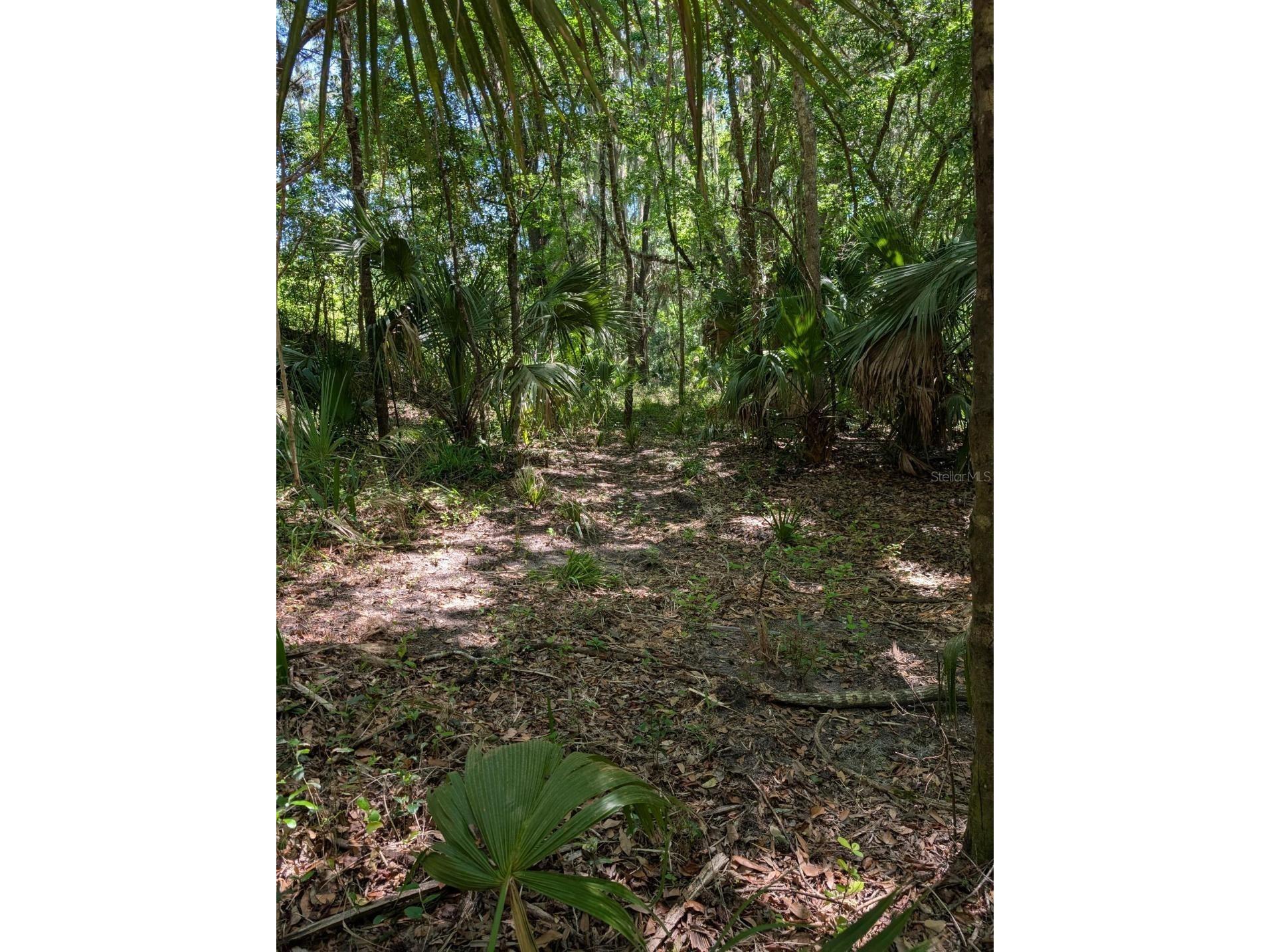 0 NW 202nd Pl Mc Intosh FL 32664 OM724265 image2