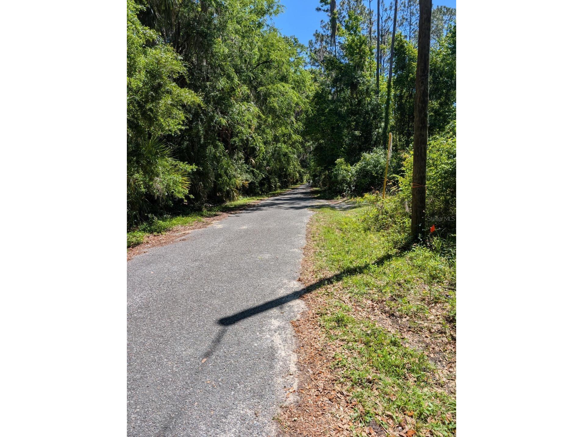 0 NW 202nd Pl Mc Intosh FL 32664 OM724265 image5