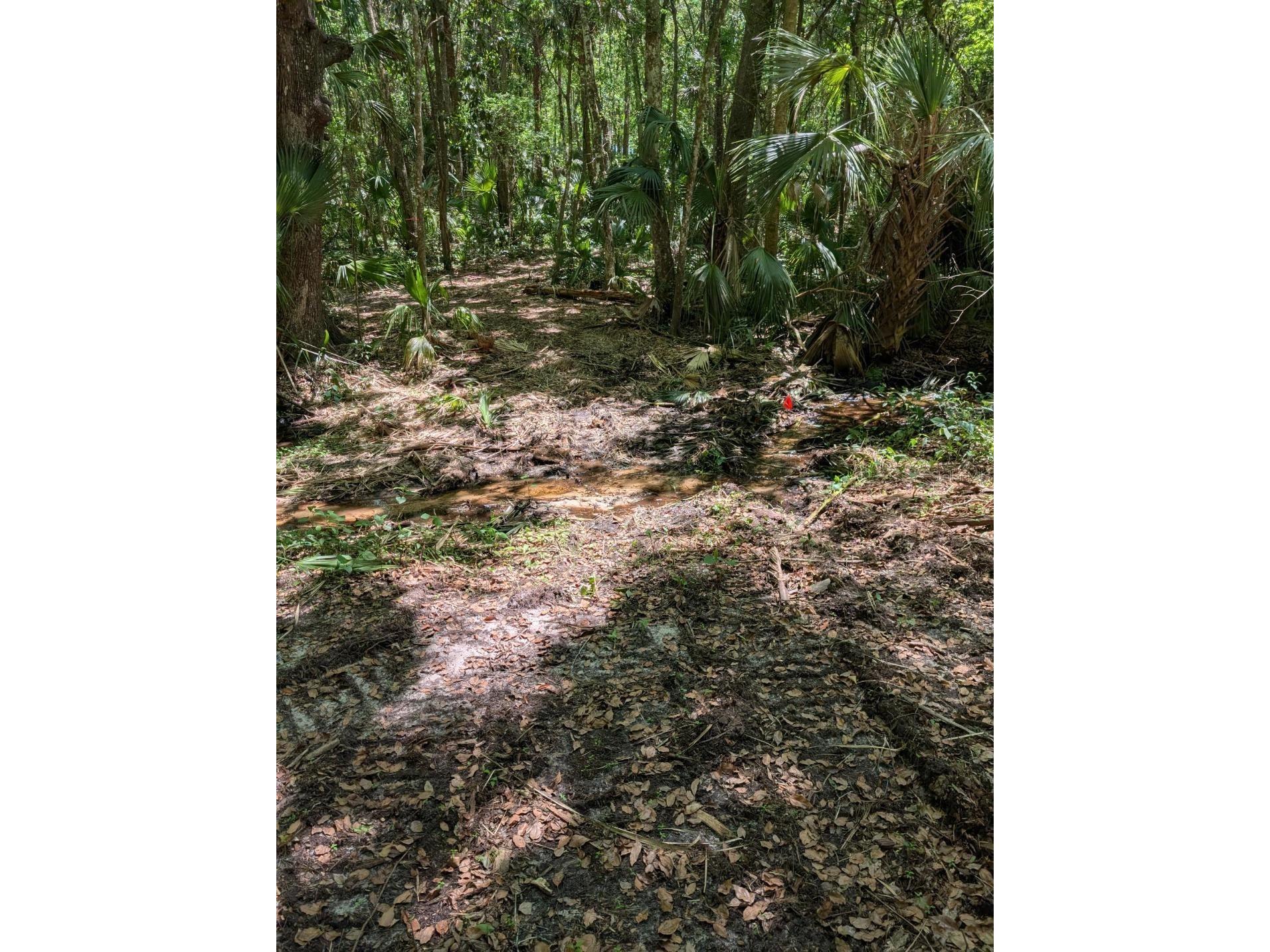 0 NW 202nd Pl Mc Intosh FL 32664 OM724265 image6