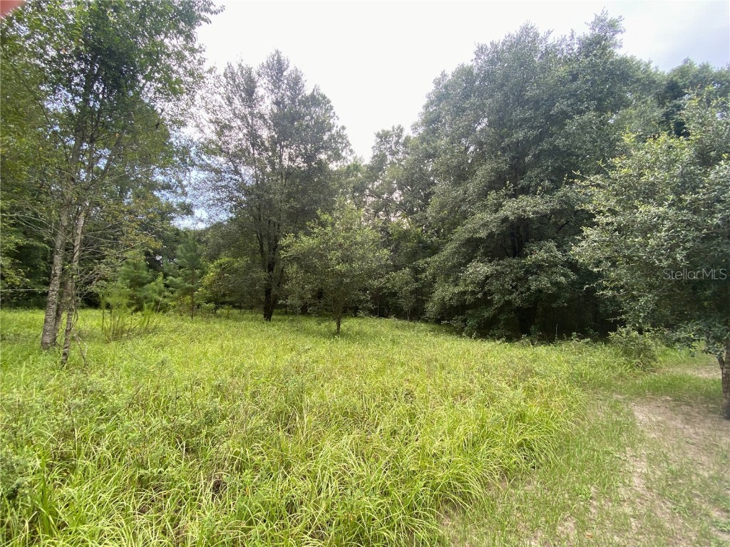 0 NW 257th Terrace High Springs FL 32643 GC507736 image1