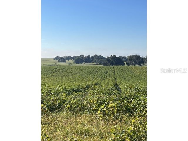 0 NW 27th Street Morriston FL 32668 O6127522 image1