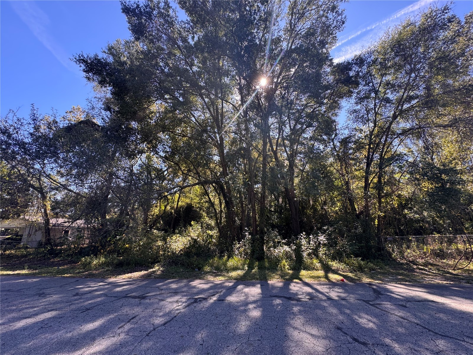 0 NW 2nd Street Ocala FL 34475 OM713893 image1