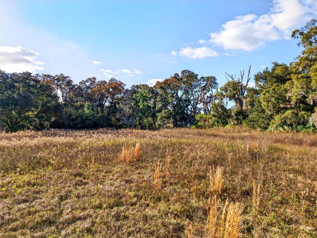 0 NW 30th Street Ocala FL 34482 O6368834 image10