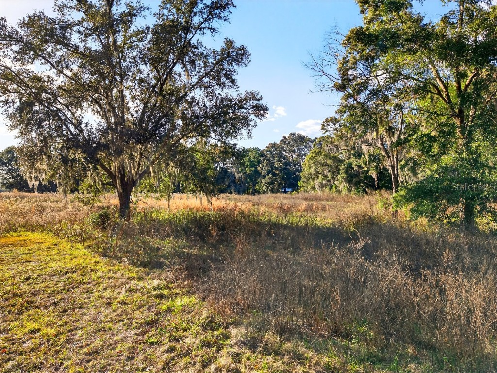 0 NW 30th Street Ocala FL 34482 O6368834 image12