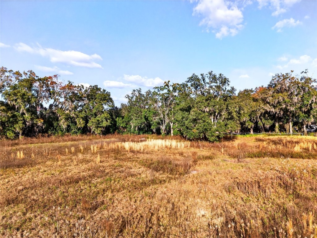 0 NW 30th Street Ocala FL 34482 O6368834 image7