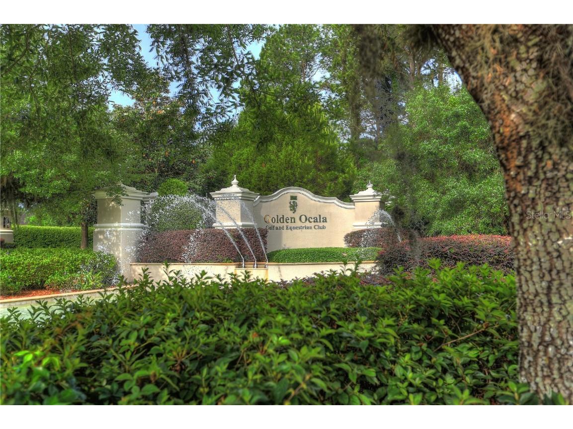 0 NW 31st Lane Road Ocala FL 34480 OM669781 image1
