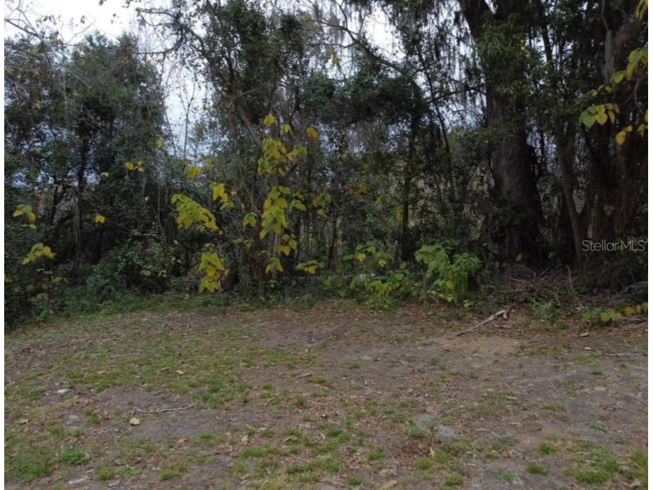 0 NW 45 Street Ocala FL 34482 OM711307 image2