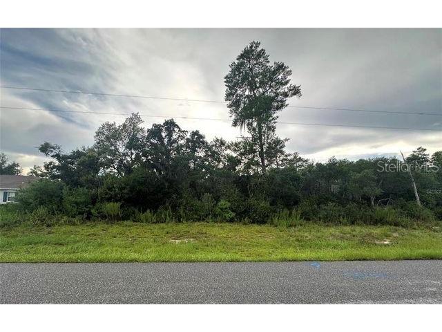 0 NW 55th Avenue Ocala FL 34482 O6279153 image1