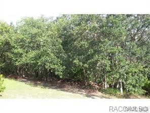 0 NW 57th Streets Ocala FL 34482 OM635594 image1