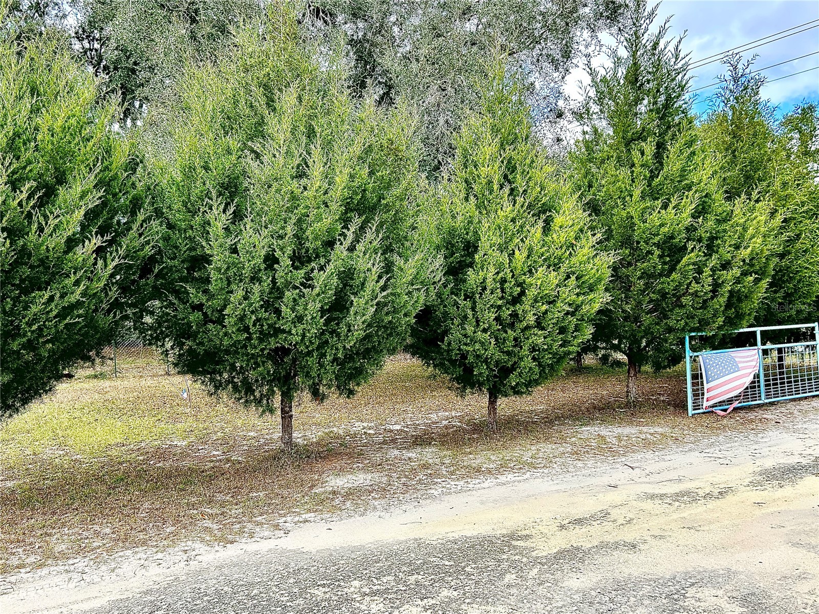 0 Nw 60th St Chiefland FL 32626 GC536525 image1