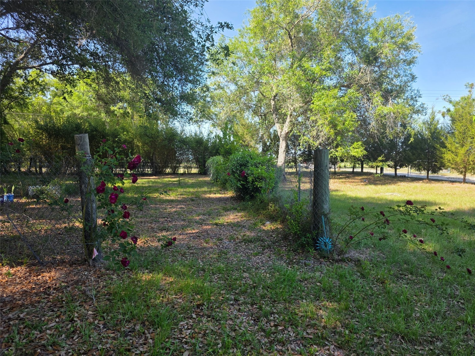 0 Nw 60th St Chiefland FL 32626 GC536525 image11