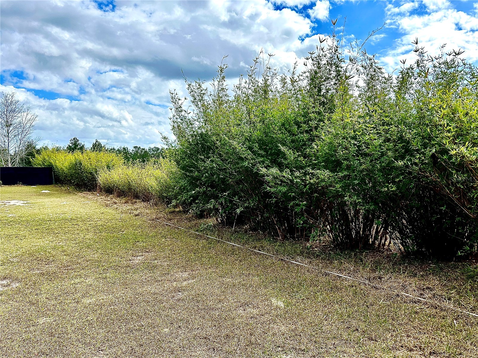 0 Nw 60th St Chiefland FL 32626 GC536525 image14