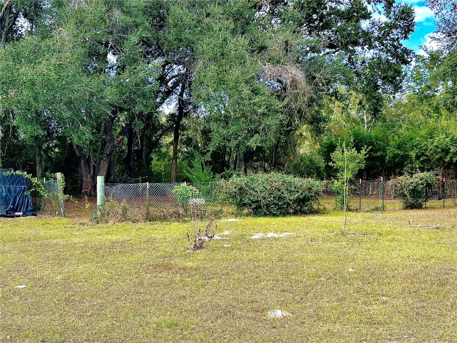 0 Nw 60th St Chiefland FL 32626 GC536525 image15