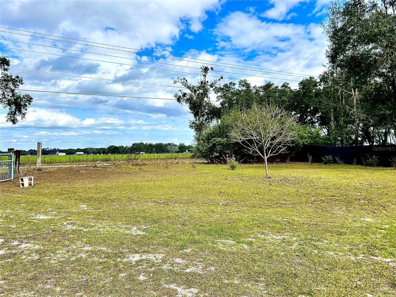 0 Nw 60th St Chiefland FL 32626 GC536525 image20