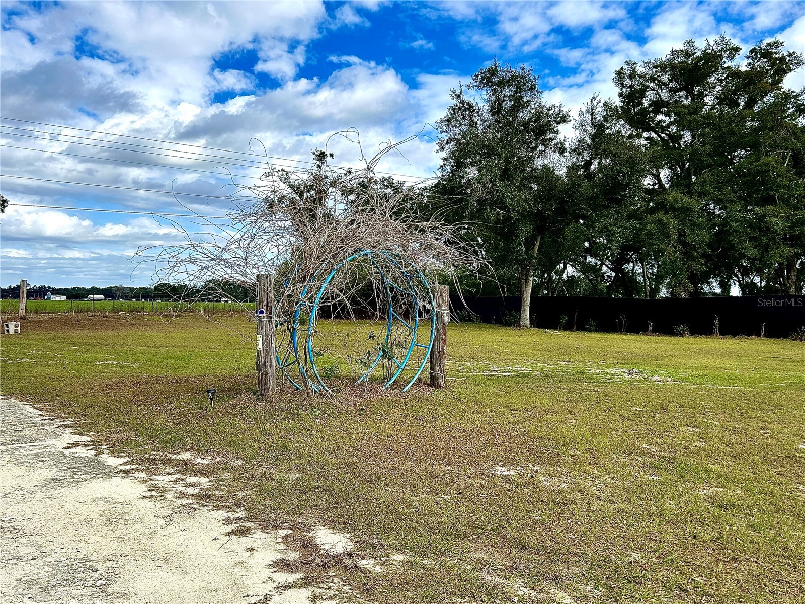 0 Nw 60th St Chiefland FL 32626 GC536525 image21