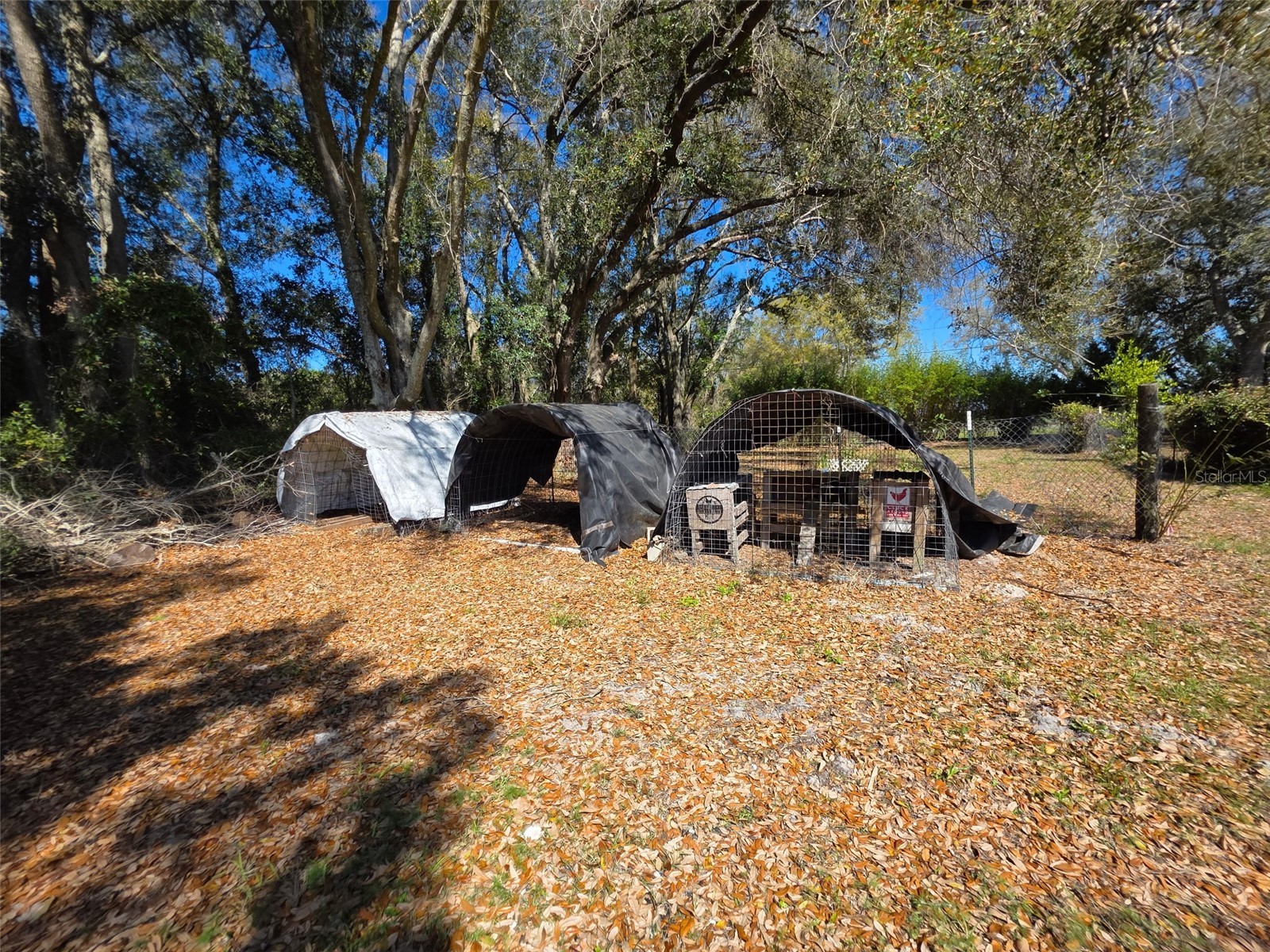 0 Nw 60th St Chiefland FL 32626 GC536525 image28