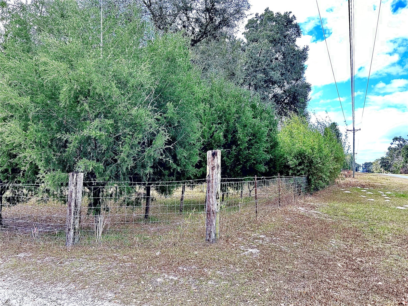 0 Nw 60th St Chiefland FL 32626 GC536525 image32