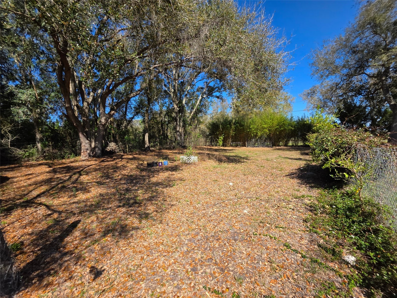 0 Nw 60th St Chiefland FL 32626 GC536525 image38