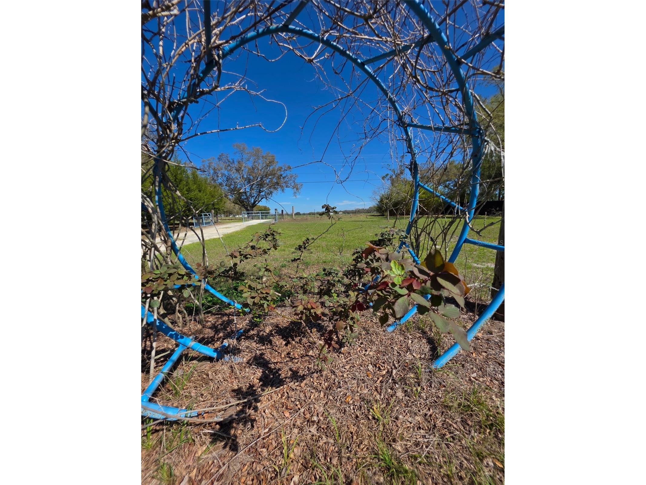 0 Nw 60th St Chiefland FL 32626 GC536525 image39