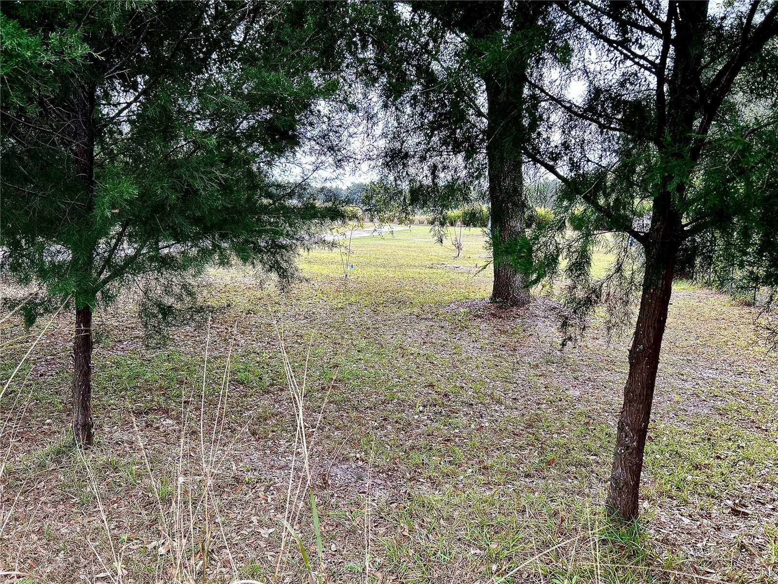 0 Nw 60th St Chiefland FL 32626 GC536525 image5