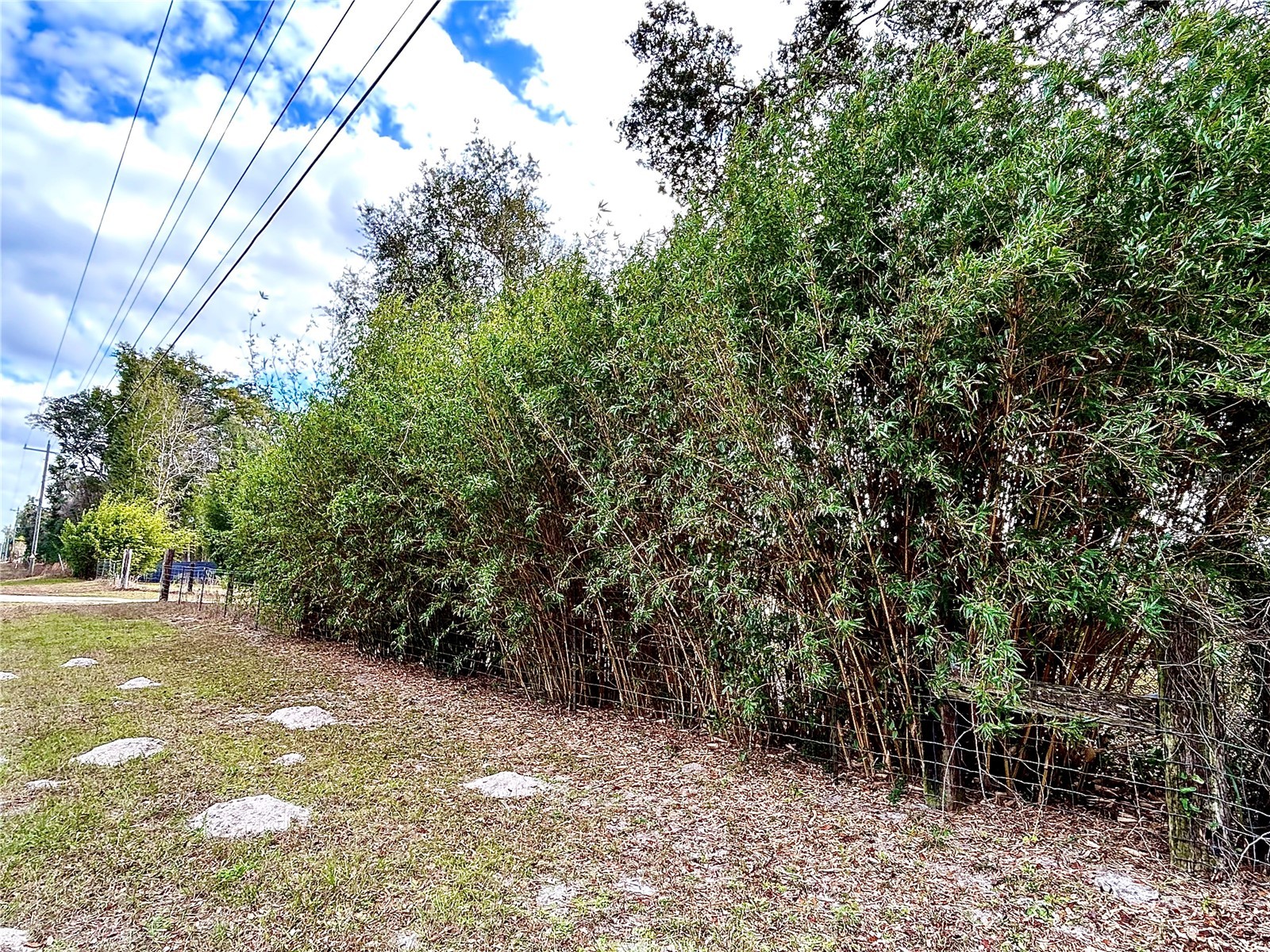 0 Nw 60th St Chiefland FL 32626 GC536525 image8