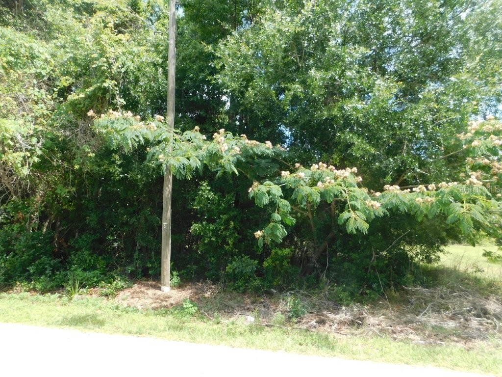 0 NW 66th Street Ocala FL 34475 OM725588 image2
