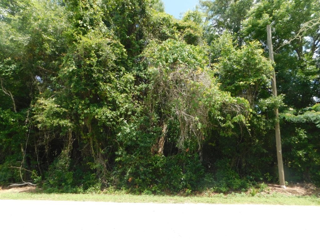 0 NW 66th Street Ocala FL 34475 OM725588 image3
