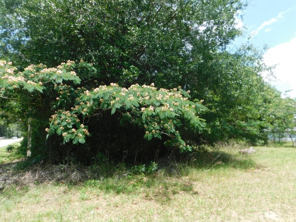 0 NW 66th Street Ocala FL 34475 OM725588 image6
