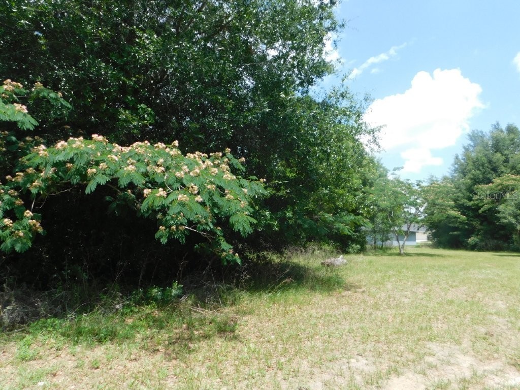 0 NW 66th Street Ocala FL 34475 OM725588 image7