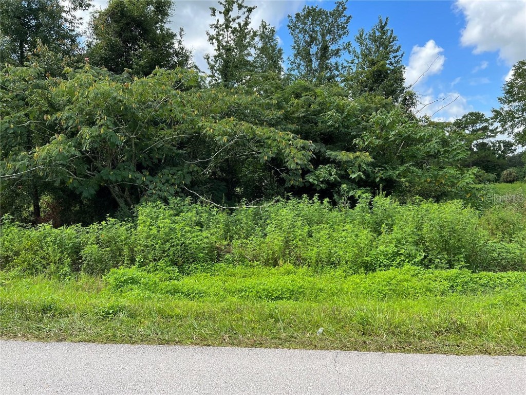 0 NW 69th Street Ocala FL 34475 OM652828 image1