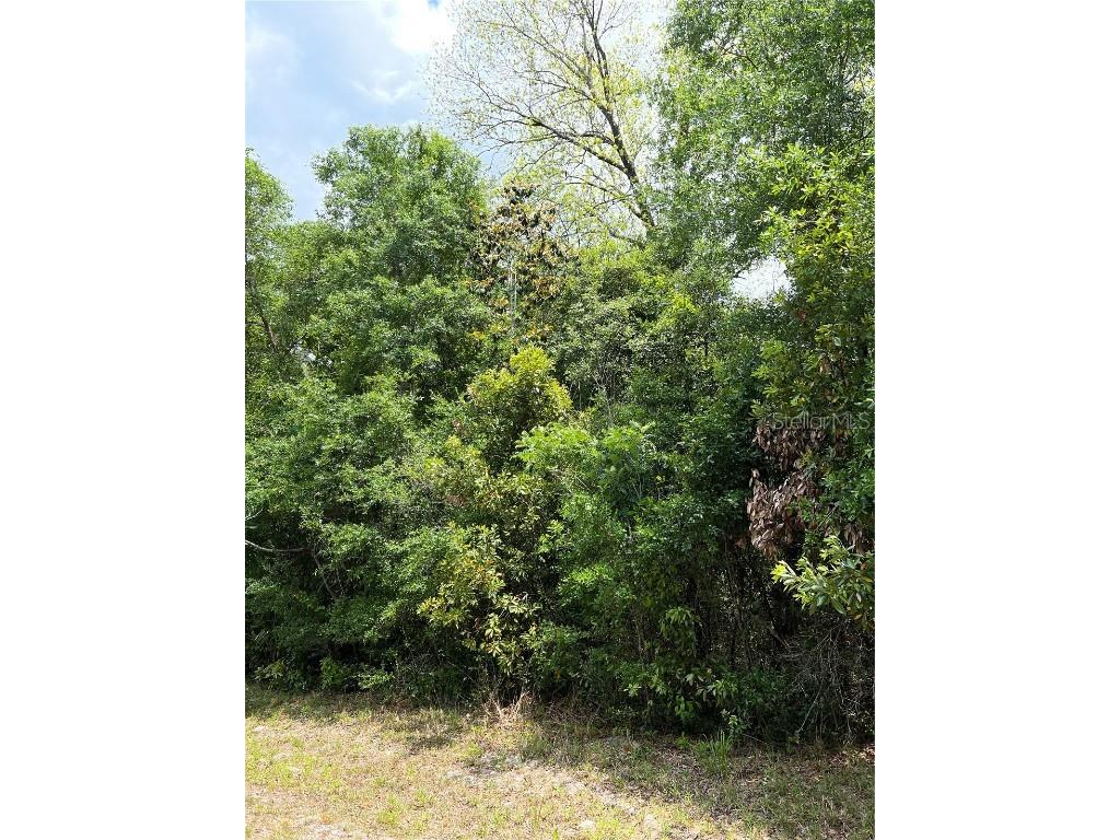 0 NW 70th Circle Chiefland FL 32626 W7872109 image2