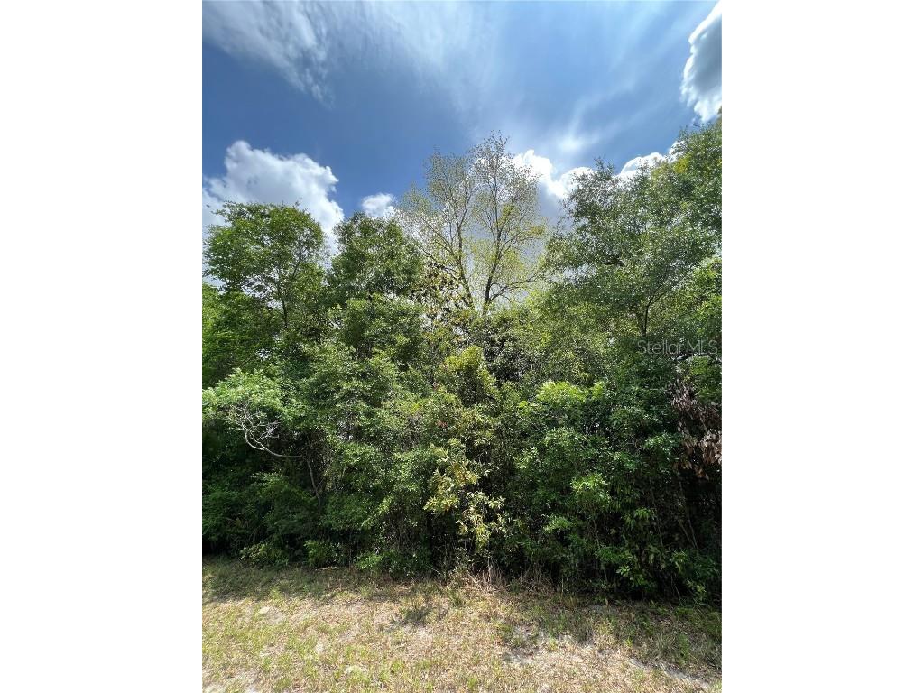 0 NW 70th Circle Chiefland FL 32626 W7872109 image3