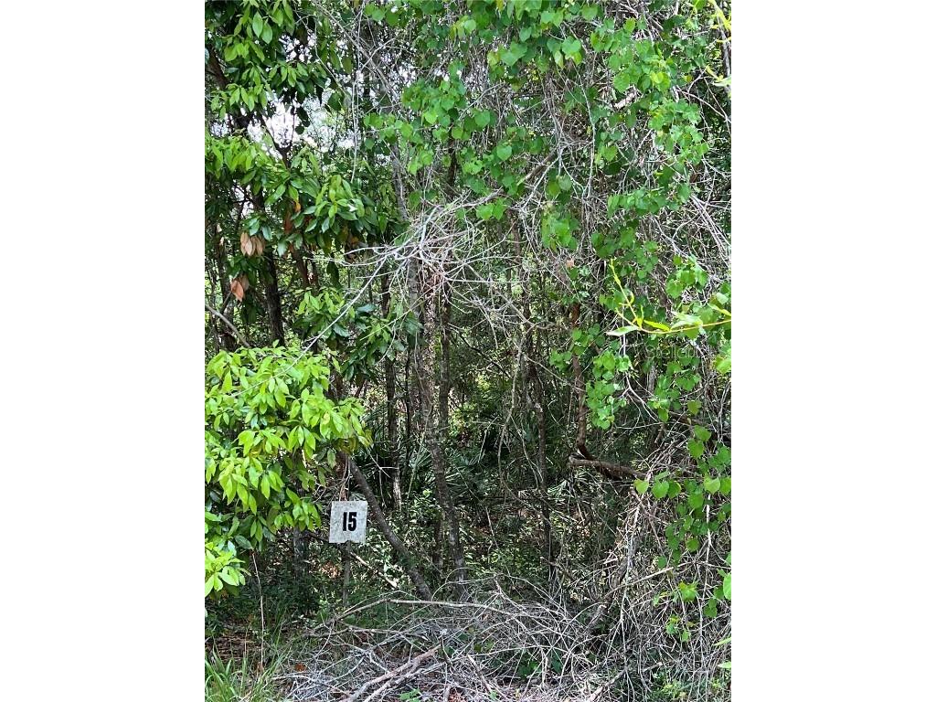 0 NW 70th Circle Chiefland FL 32626 W7872109 image4