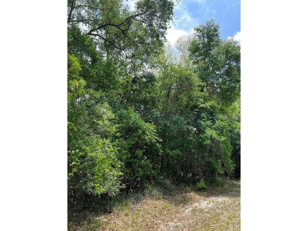 0 NW 70th Circle Chiefland FL 32626 W7872109 image5