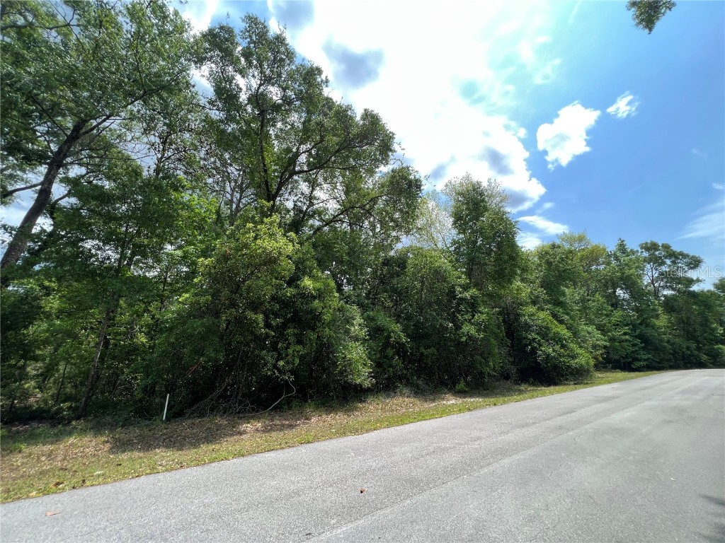 0 NW 70th Circle Chiefland FL 32626 W7872109 image7