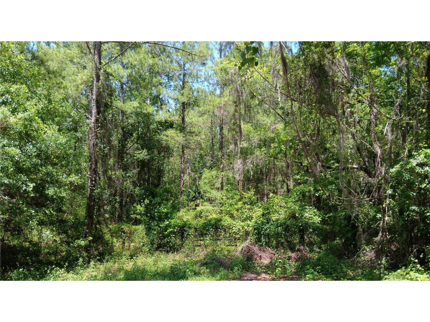 0 NW 82 Court Ocala FL 34482 OM701786 image1