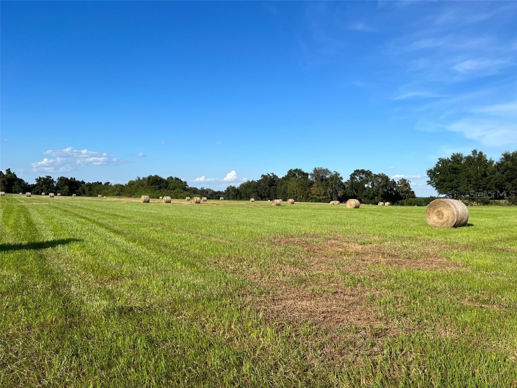0 NW 95th Street Ocala FL 34479 OM666984 image1