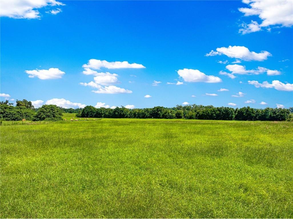 0 NW 95th Street Ocala FL 34479 O6341785 image7